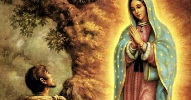 La nostra patrona: Nostra Signora di Guadalupe